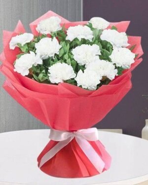 12 White Carnation Bunch